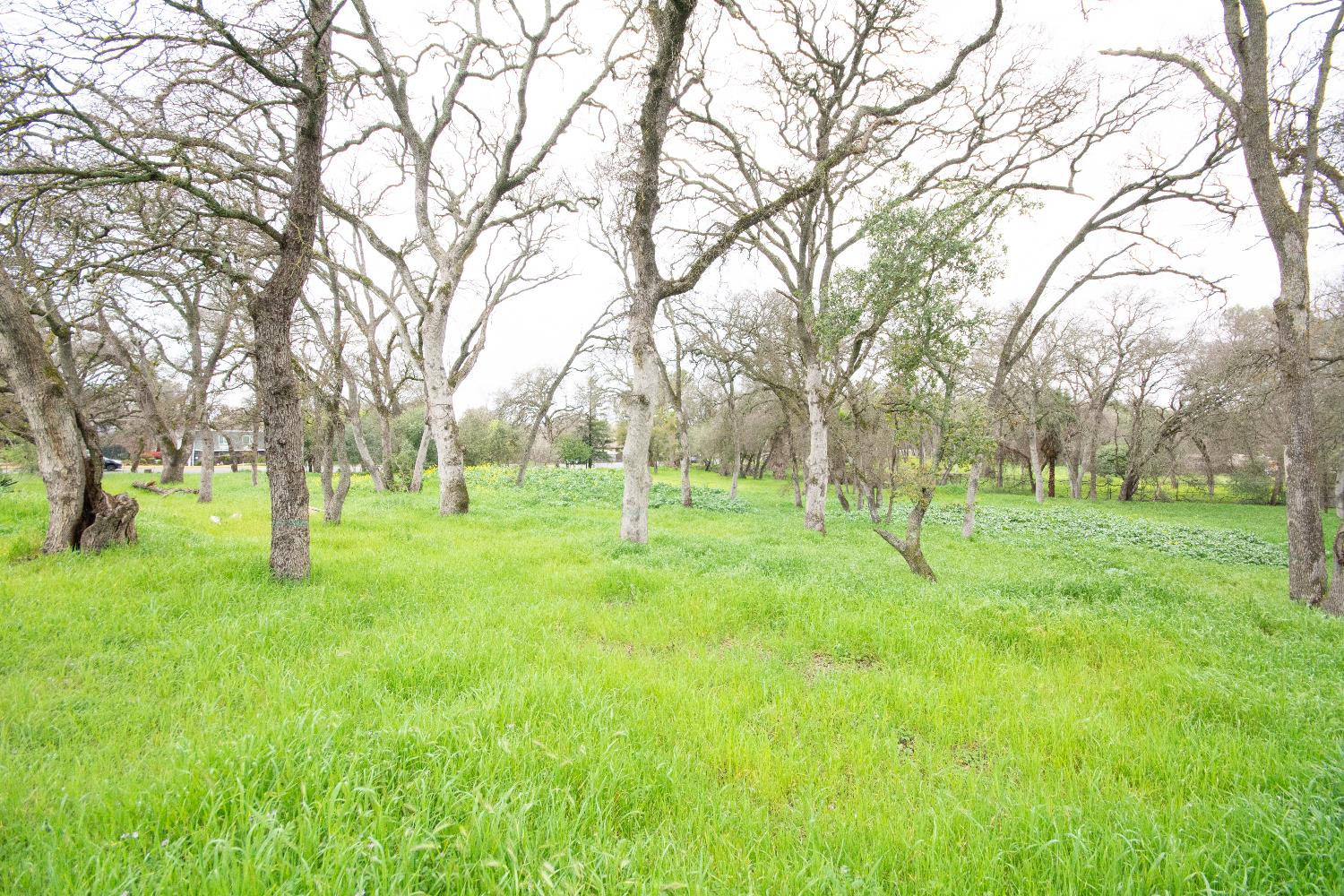 4904 Manzanita Avenue