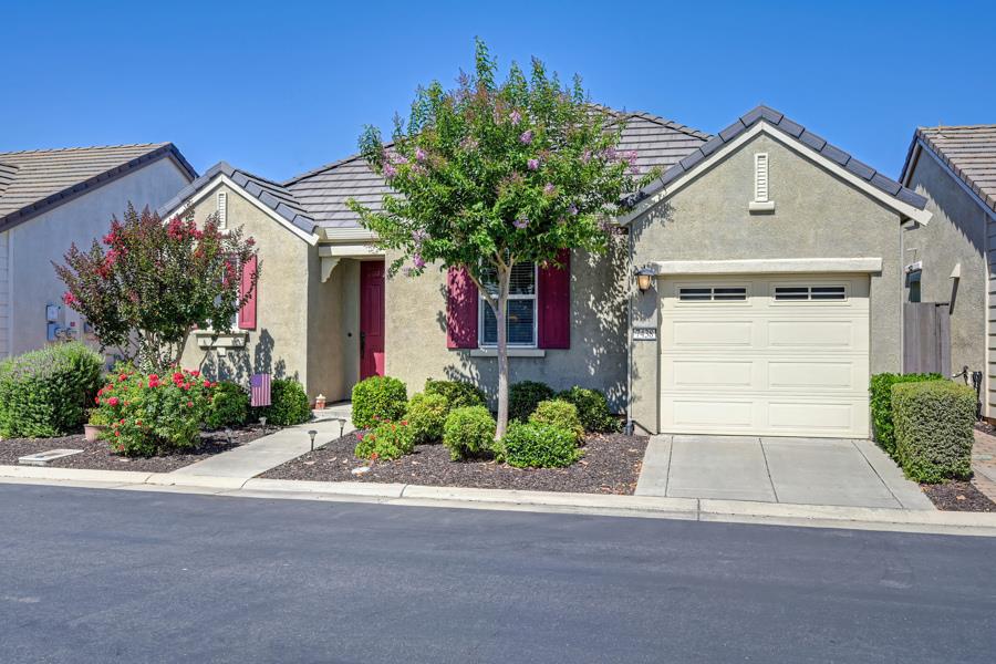 7438 Chevelle Way