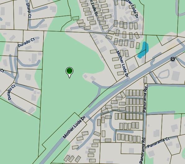 6371 Mother Lode Drive