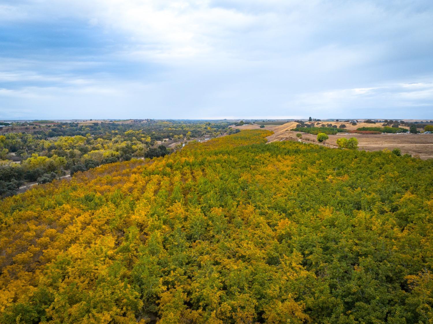 24608 Yosemite Boulevard