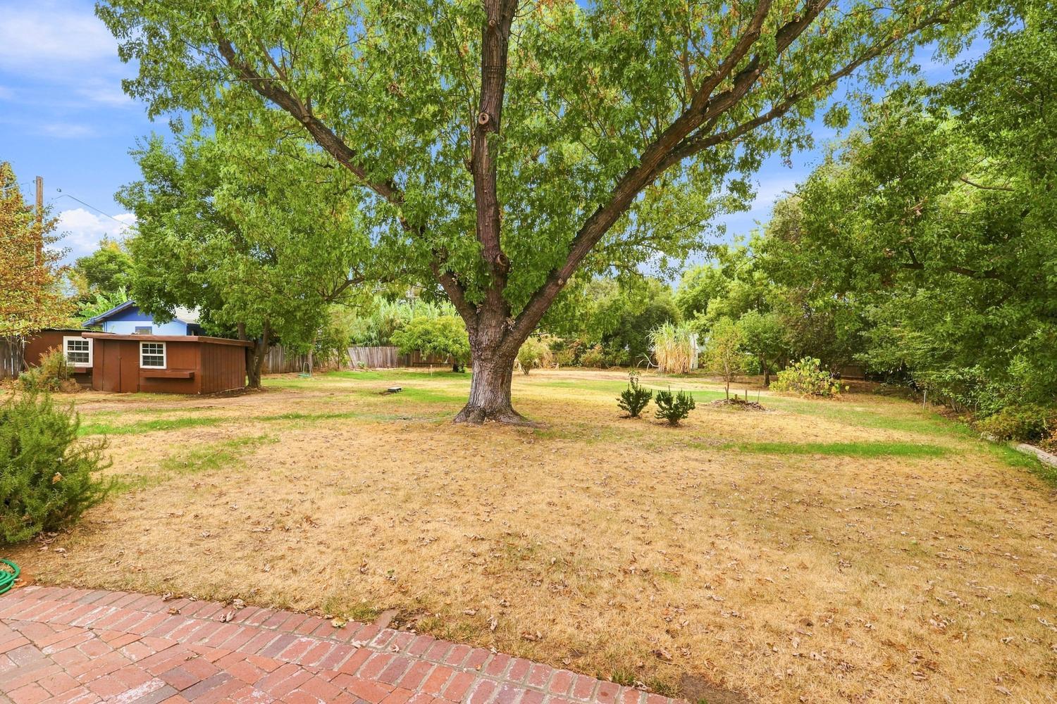 3736 Laguna Way