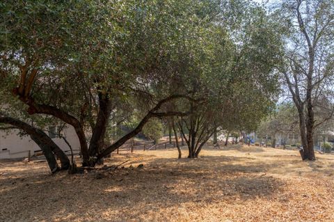 0 736 Live Oak Angels Camp CA 95222