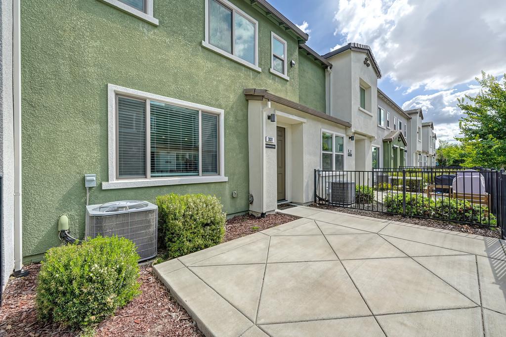 3031 Mesmerizing Walk