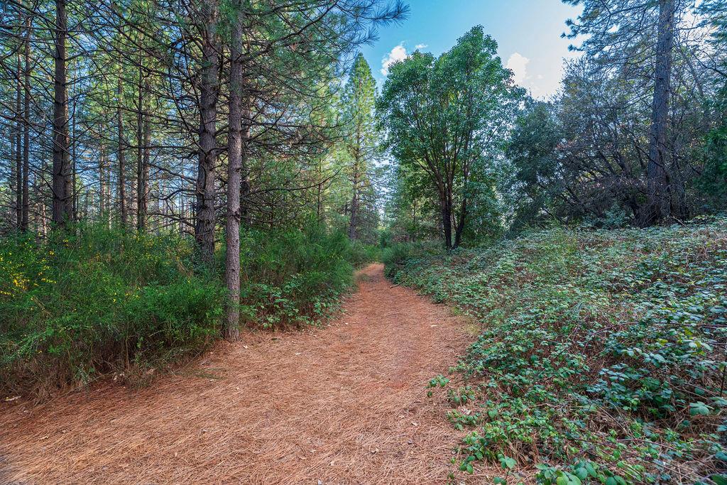 11192 Sebastopol Road