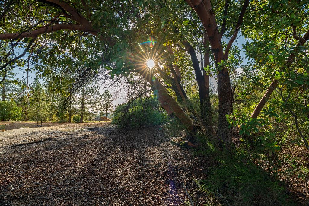 11192 Sebastopol Road