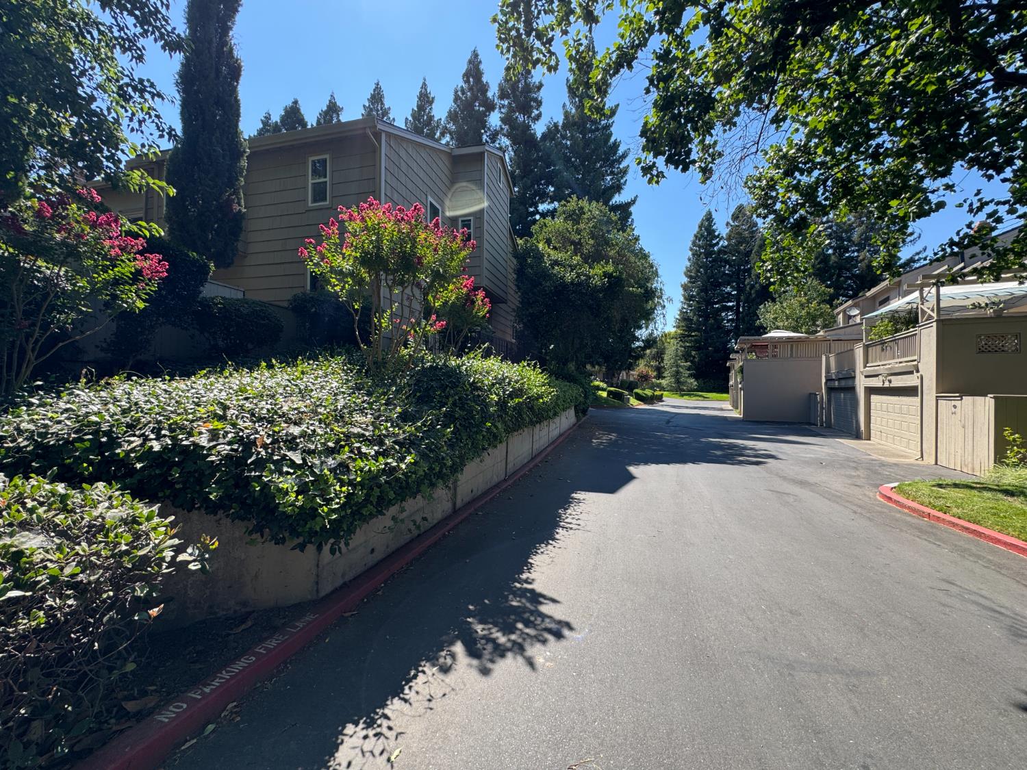 619 Commons Drive