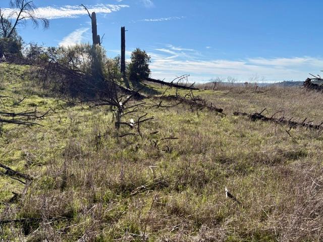 8870 Oro Quincy Highway