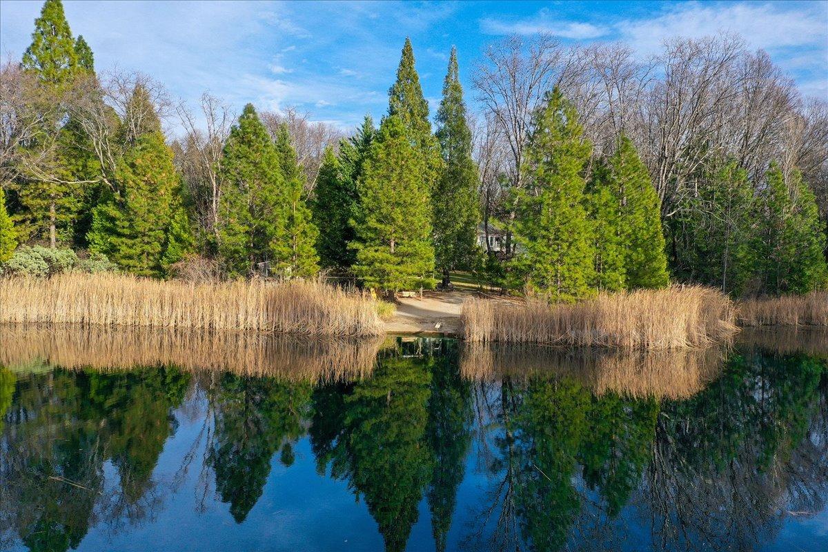 13383 Bass Trail