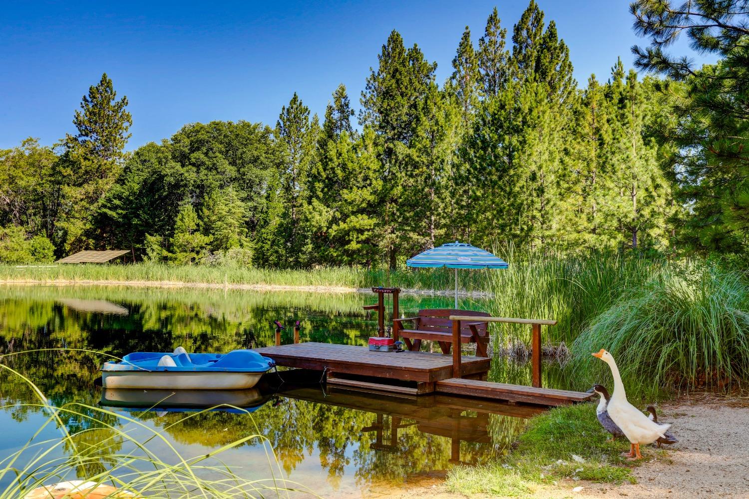 13383 Bass Trail