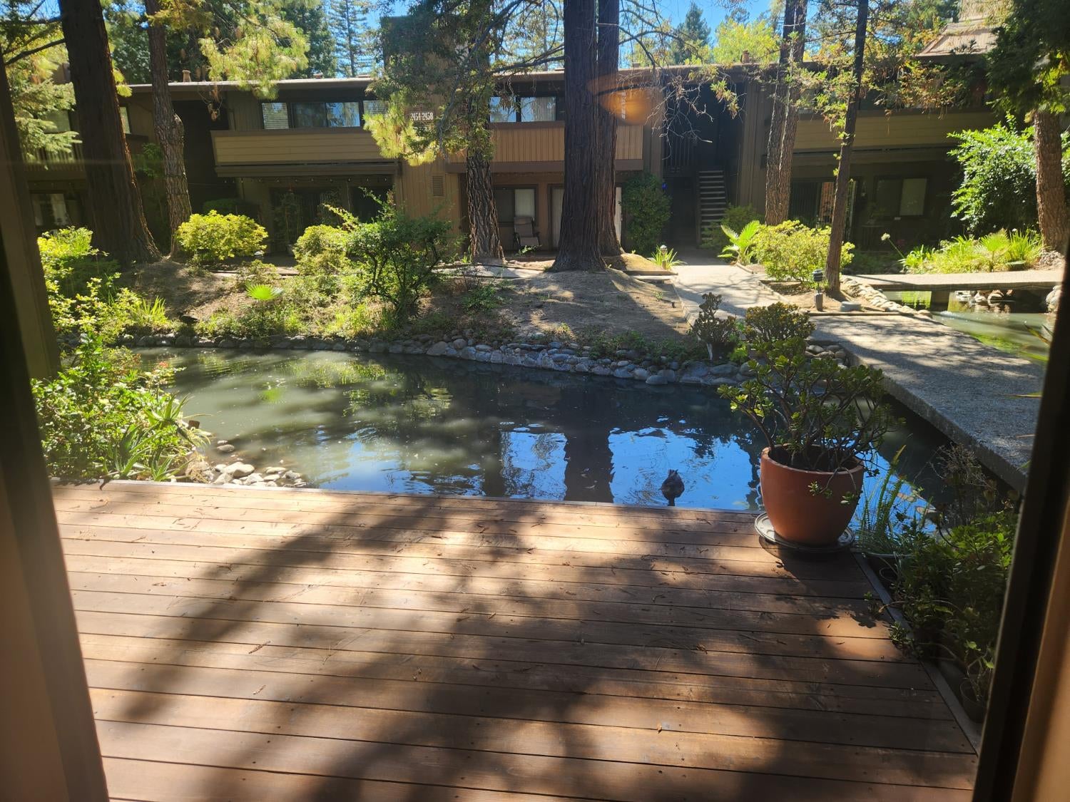 2462 Larkspur Lane 345