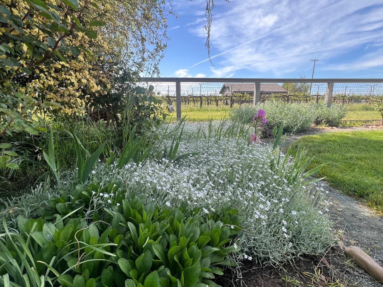 Lodi, California 95240, United States, 3 Bedrooms Bedrooms, ,3 BathroomsBathrooms,Residential,Active,33472