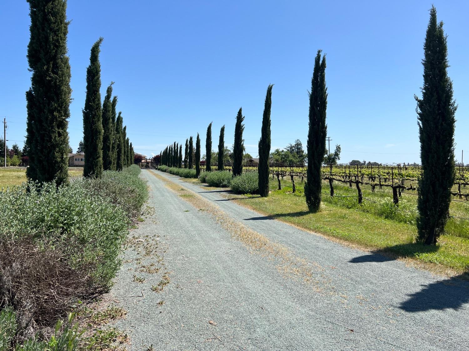 Lodi, California 95240, United States, 3 Bedrooms Bedrooms, ,3 BathroomsBathrooms,Residential,Active,33472