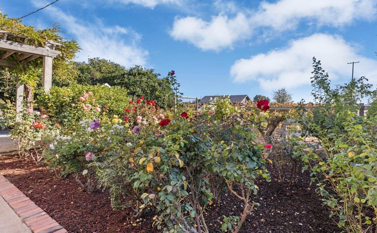 Lodi, California 95240, United States, 3 Bedrooms Bedrooms, ,3 BathroomsBathrooms,Residential,Active,33472