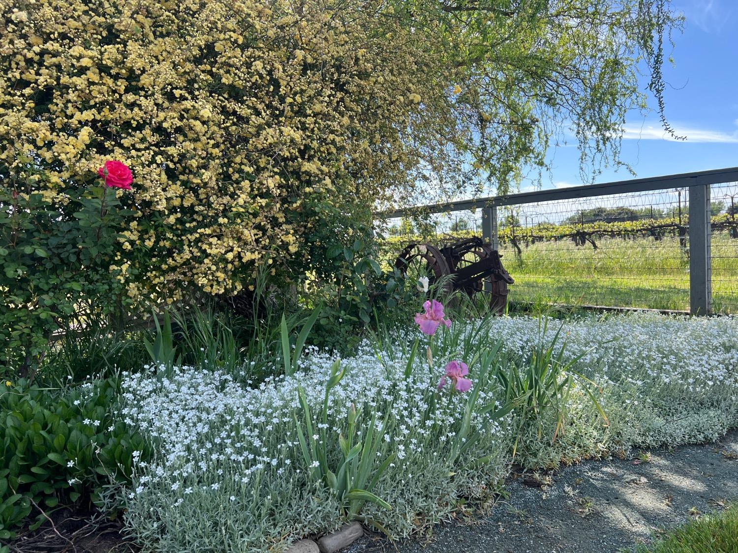 Lodi, California 95240, United States, 3 Bedrooms Bedrooms, ,3 BathroomsBathrooms,Residential,Active,33472