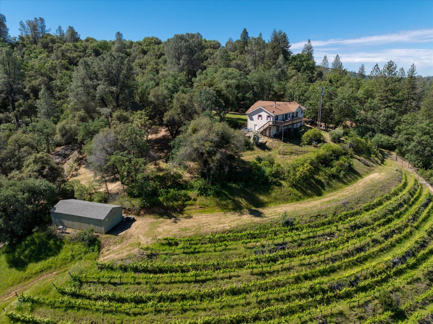 630 State Highway 49