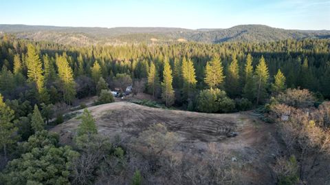 MLS: 225037567