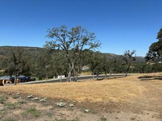 147 Vista Knolls Court