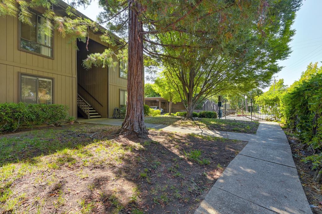 2424 Larkspur Lane 217