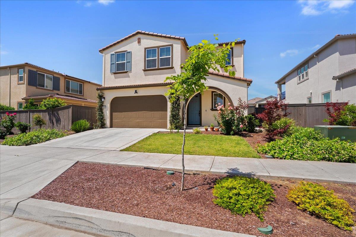 5667 Littlestone Street