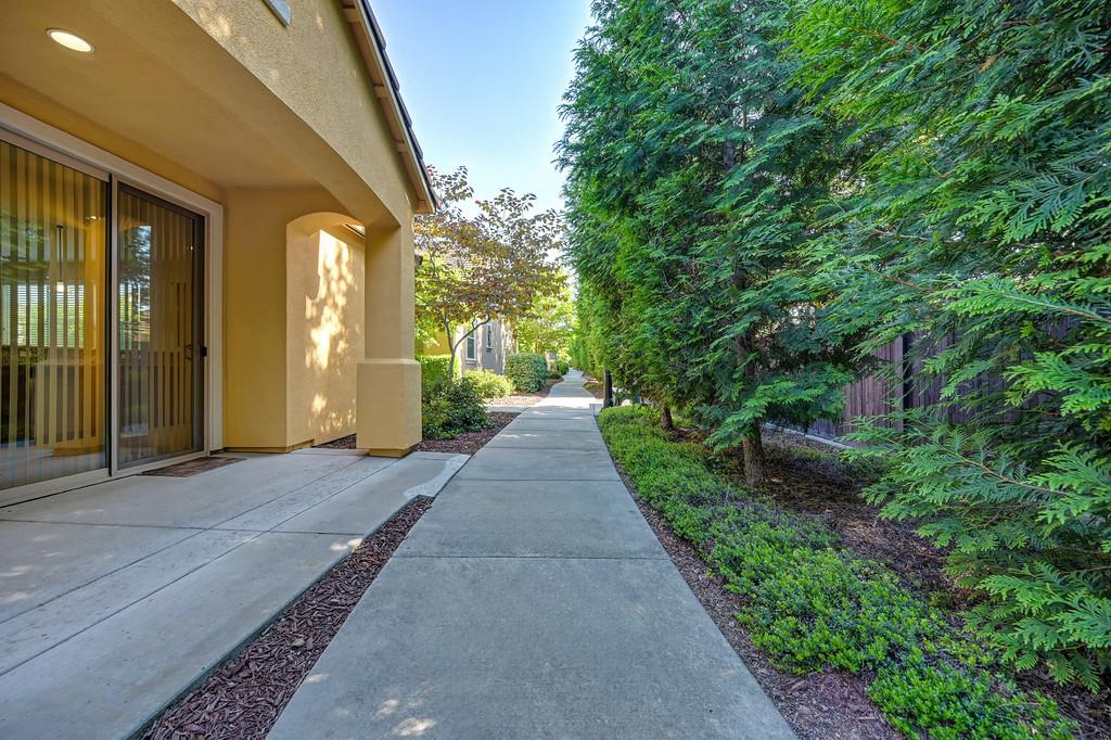 1241 Volonne Drive