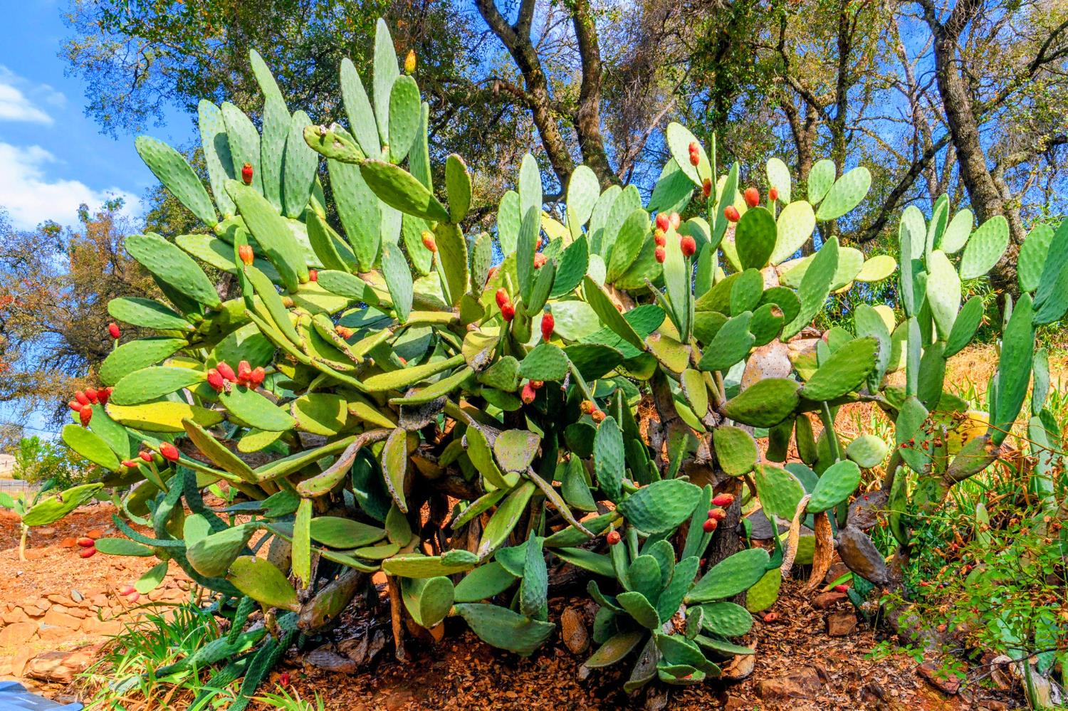 6275 Crystal Boulevard