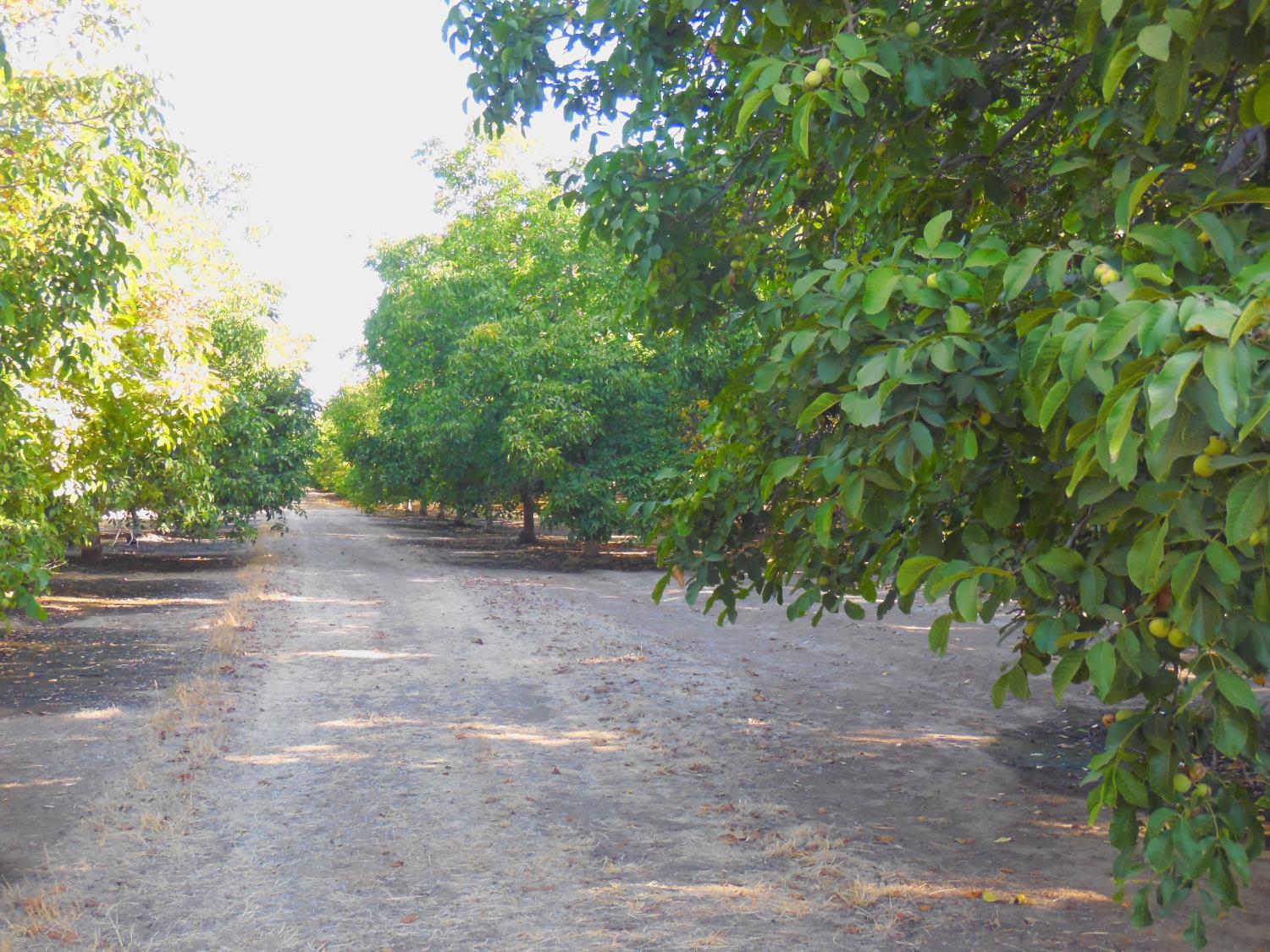0 Clark Road