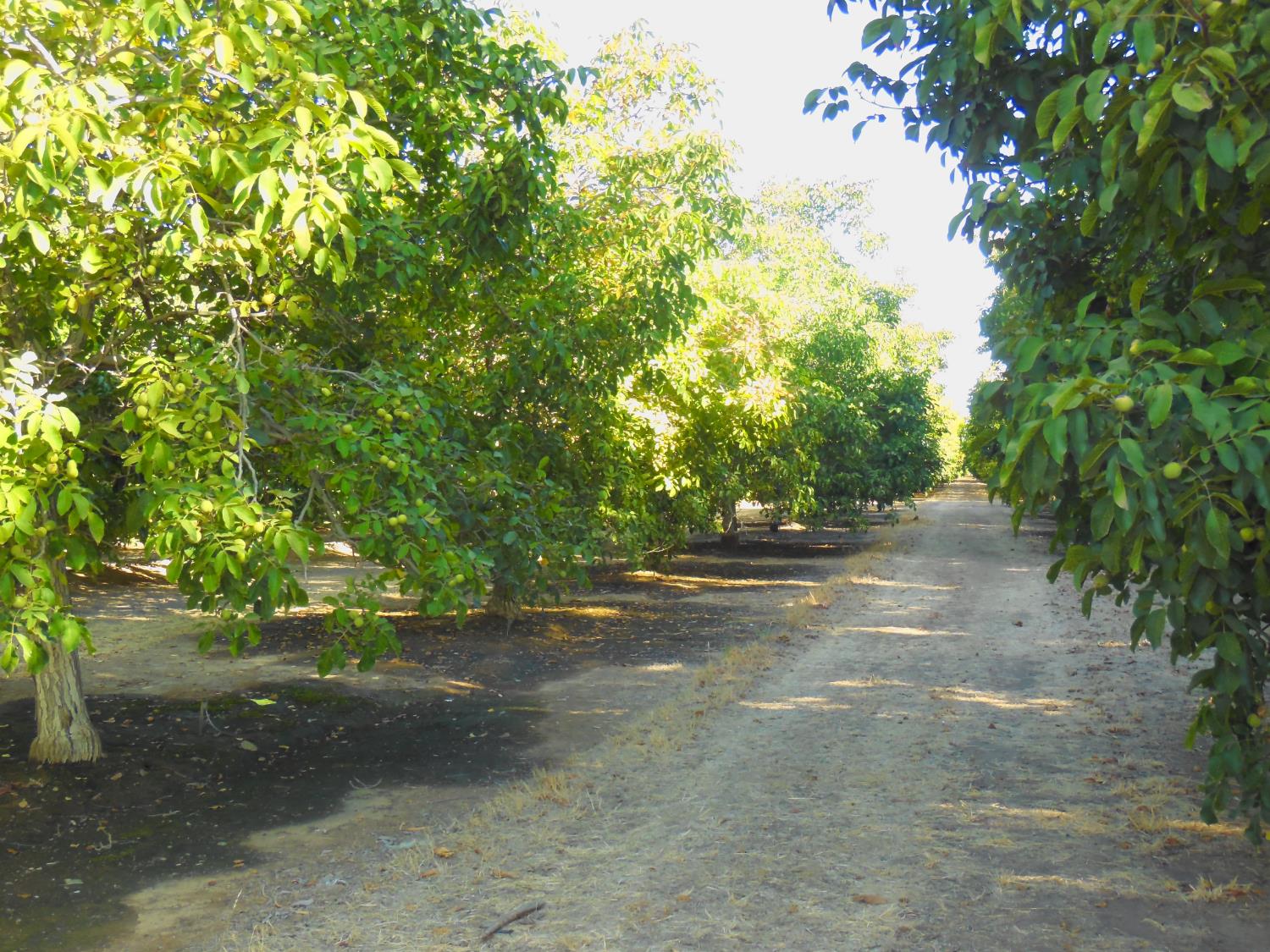 0 Clark Road