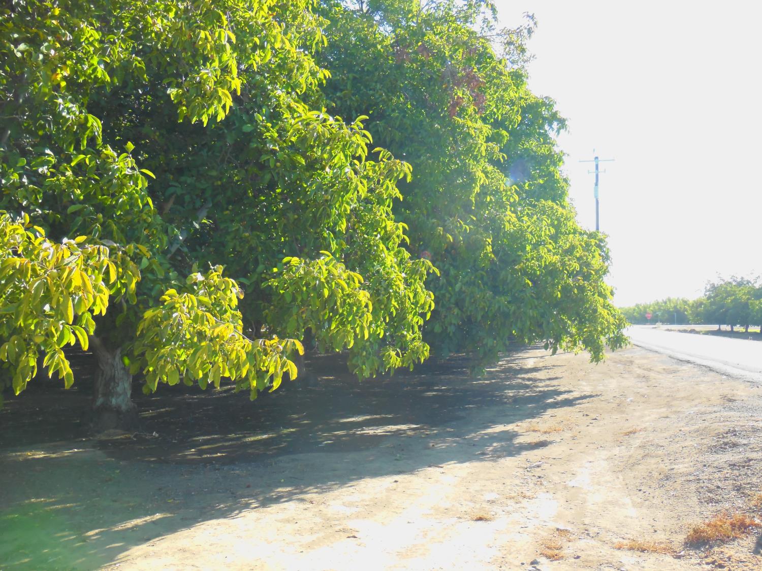 0 Clark Road