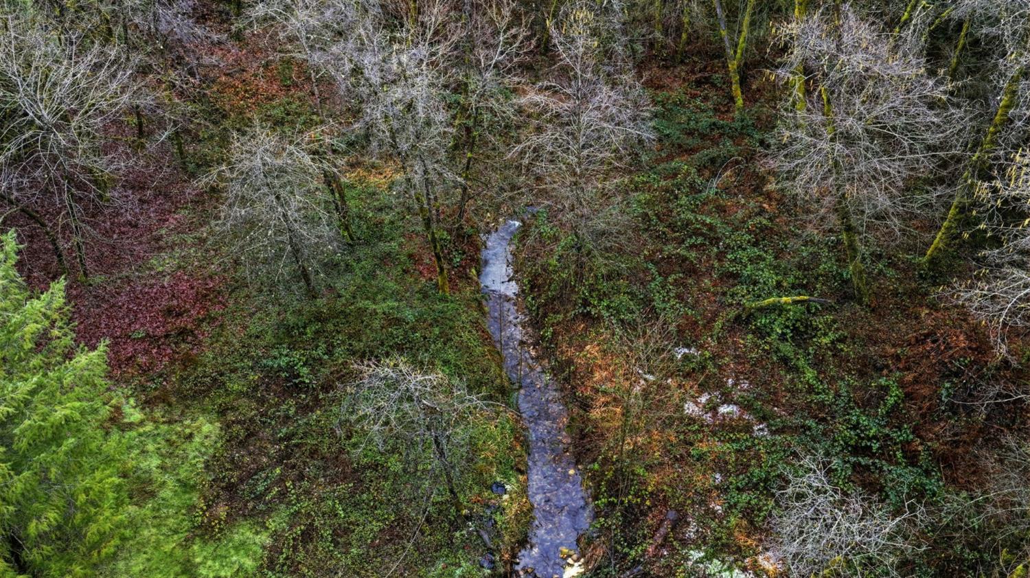 0 Kentucky Flat Road