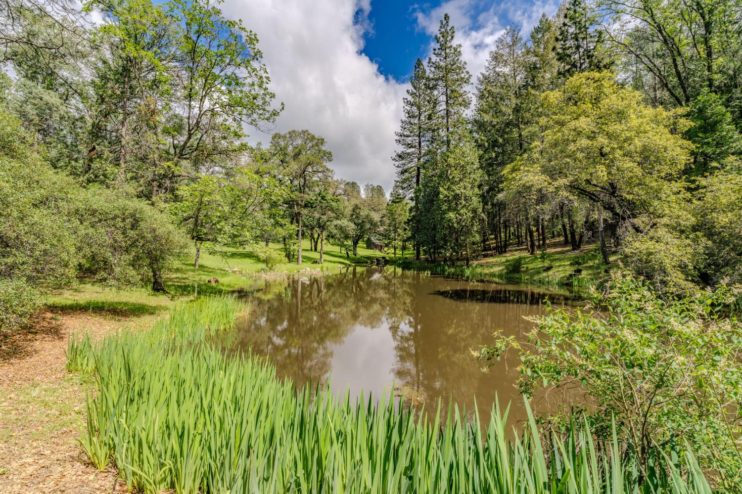 19351 Fiddletown Road