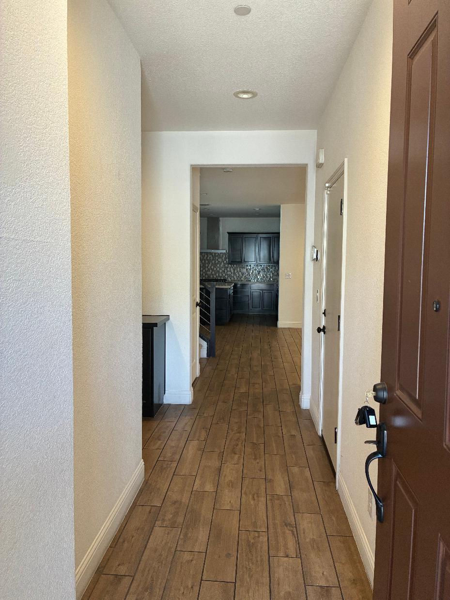 8434 Stellata Lane