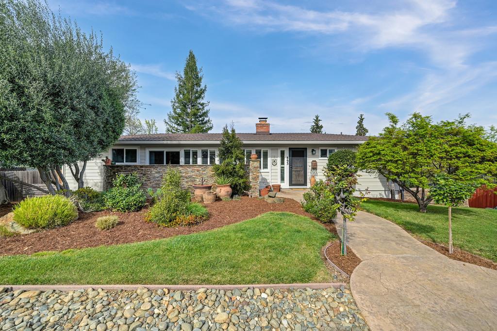 893 Shasta Cir