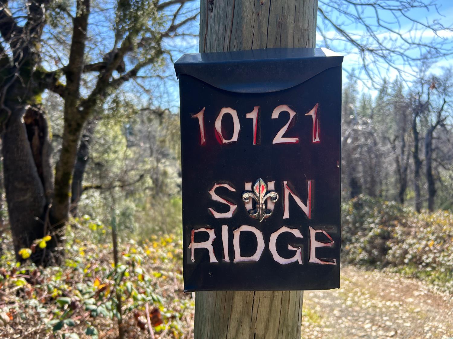 10121 Sun Ridge Court