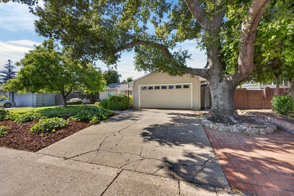4549 Lippi Parkway