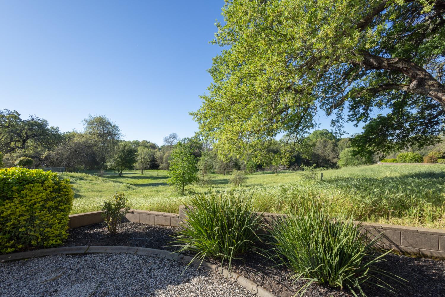 701 Rose Creek Court