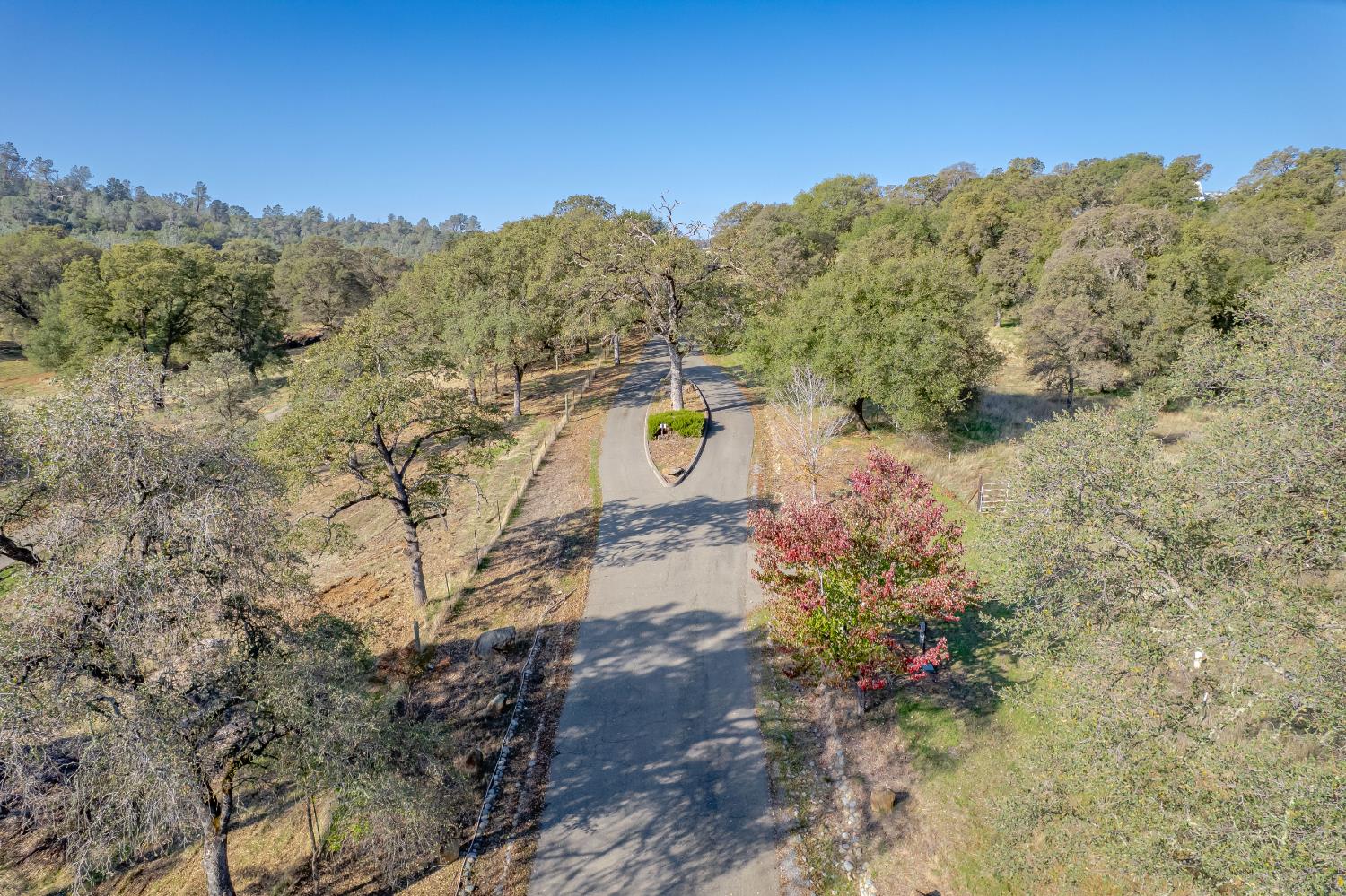 5585 Garden Bar Rd Lot #3