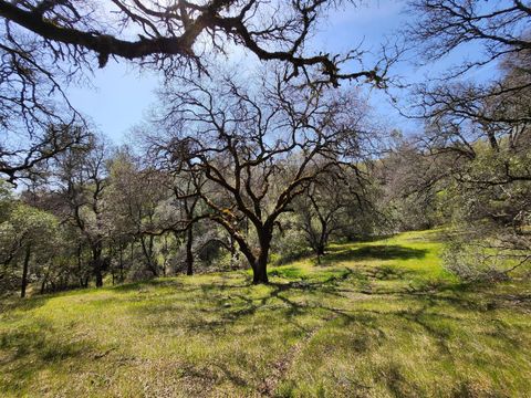 15255 Devon Court Auburn CA 95603