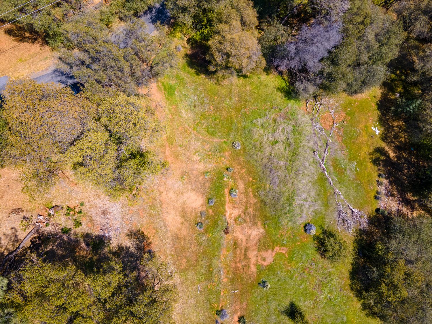 15255 Devon Court