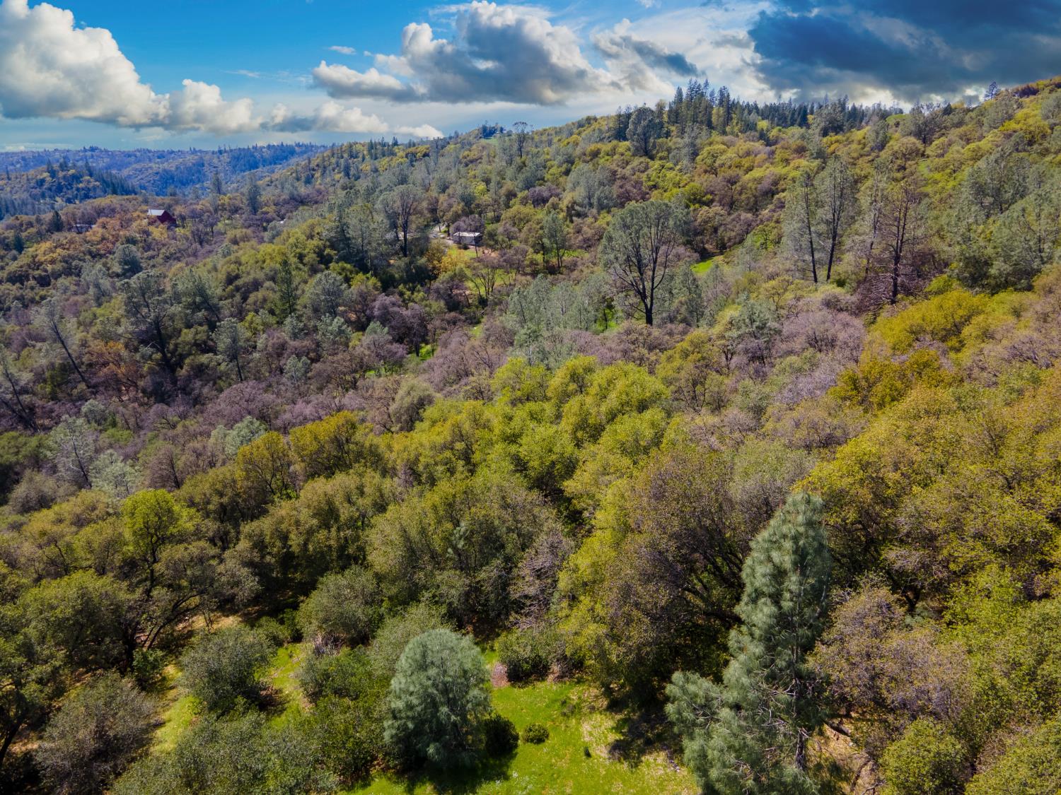 15255 Devon Court