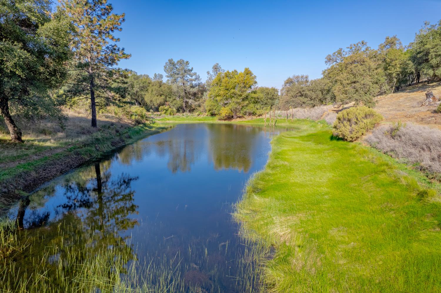 5585 Garden Bar Rd Lot #4
