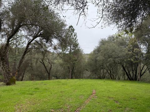 MLS: 225034370