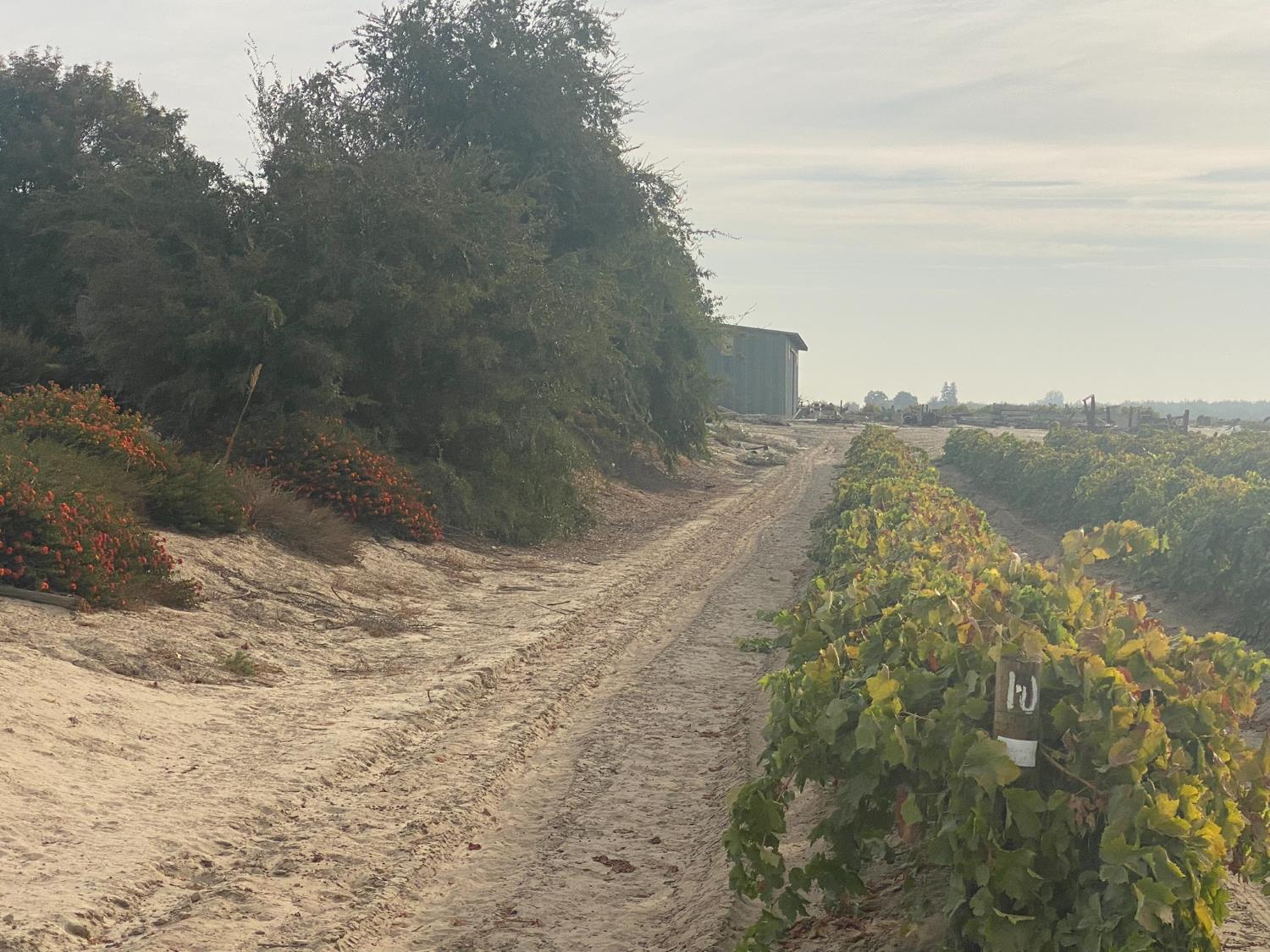 13956 S Cherry Avenue