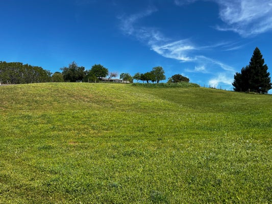 BUTLER RD, PENRYN, CA 95663 - Image 3e8a8f804a449cb5cf8fca3895edb039/1205495216