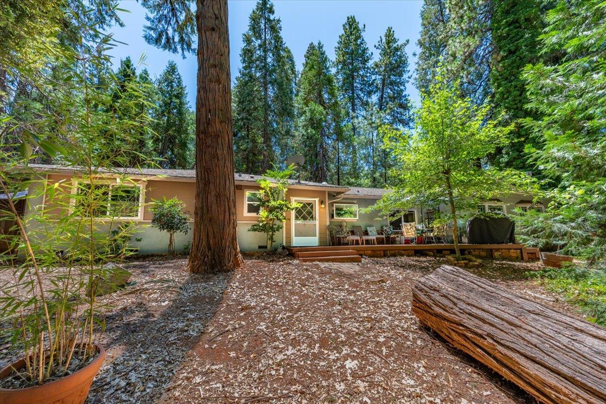14207 Tim Burr Lane