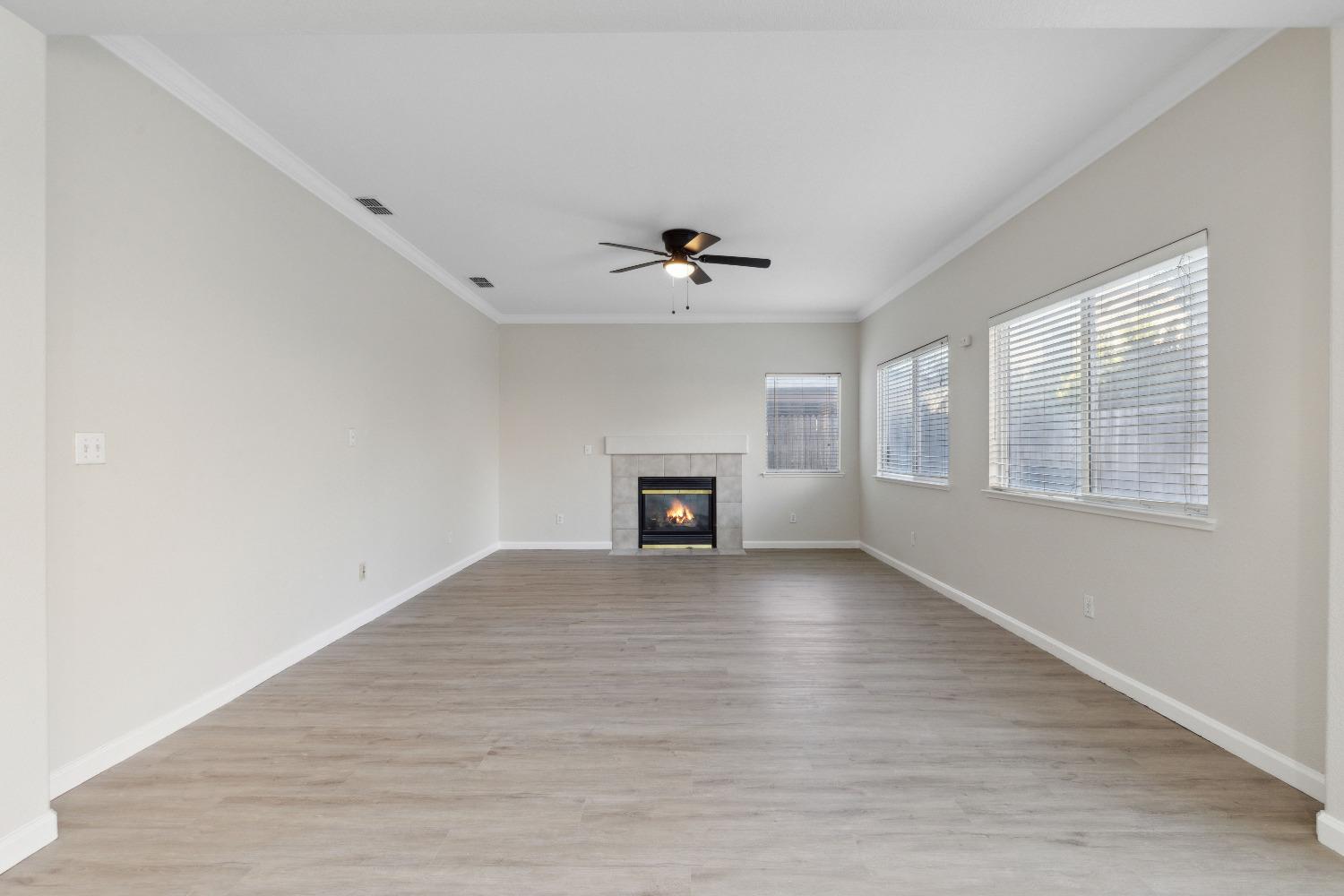 2520 Carnival Drive