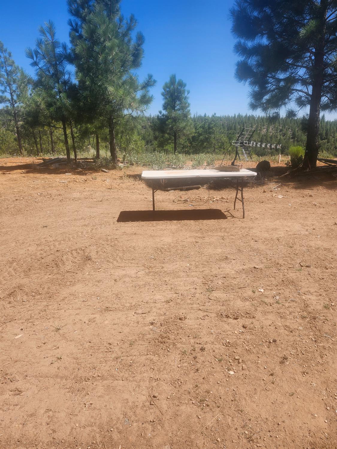 19855 Incense Cedar Trail