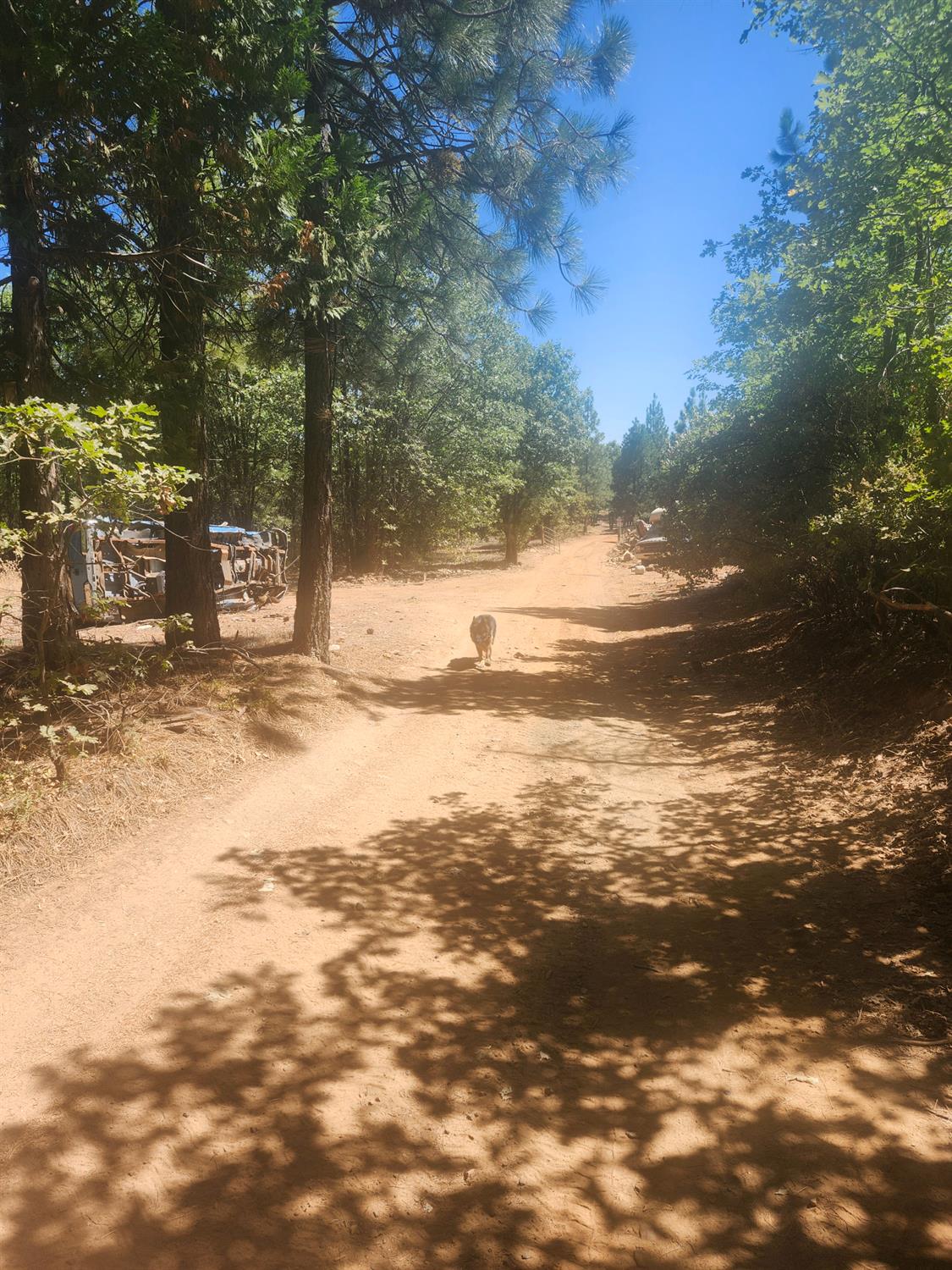 19855 Incense Cedar Trail