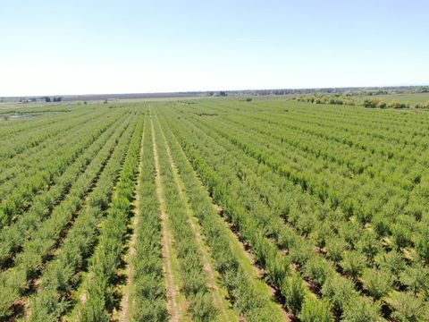 0 Twin Cities Road Herald CA 95638