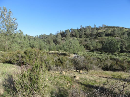 0 WHITE ROCK ROAD, MOUNTAIN RANCH, CA 95246 - Image 414a52e2f2e4a8fc2224bbf0f7eb80a6/3573648278