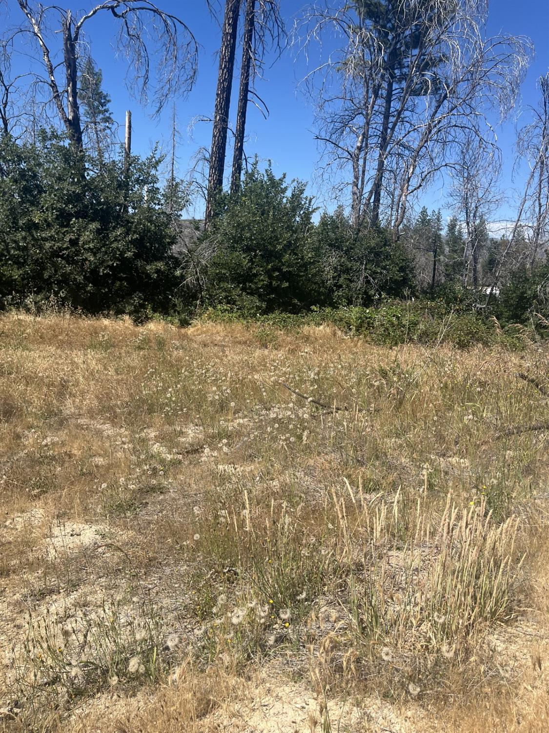 122 Simpson Ranch Road